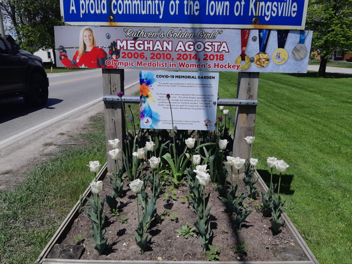 Unique Tribute to COVID Heroes and Victims in Kingsville Kingsville Times