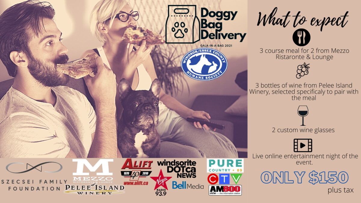 WECHS Fundraiser Launches 1st ‘Doggy Bag Delivery GalaInABag