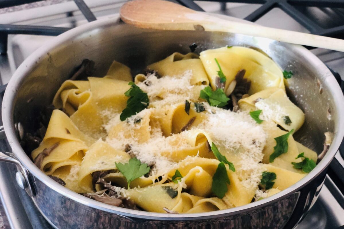 Taste of the County Shogun Maitake Kuro Kingsville Times