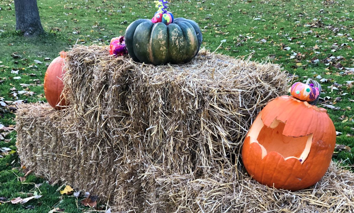 Kingsville Holds 4th Annual Pumpkin Parade on Monday November 1