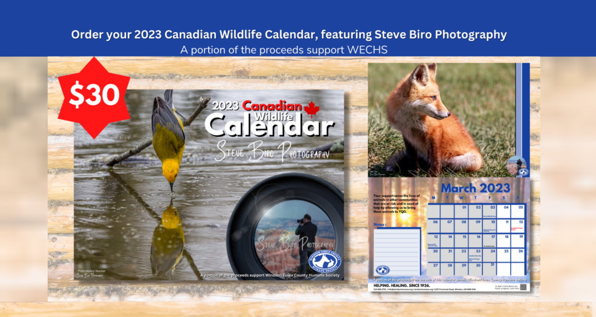 Buy Your 2023 Canadian Wildlife Calendar Help Support Humane Society