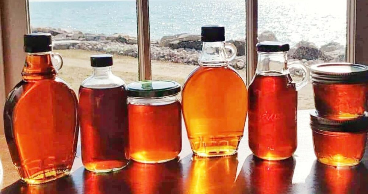 Megasized March Maple Syrup Festival Kingsville Times