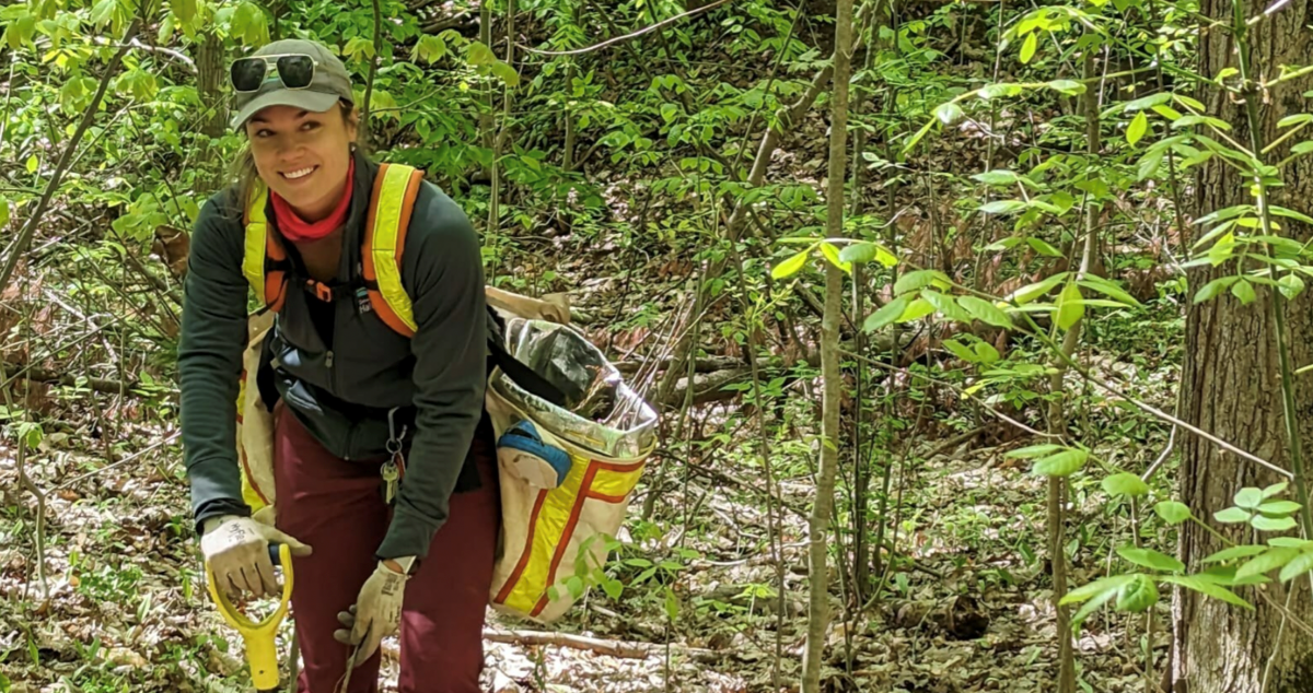 Forests Ontario Plants 2.5 million Trees This Season Kingsville Times