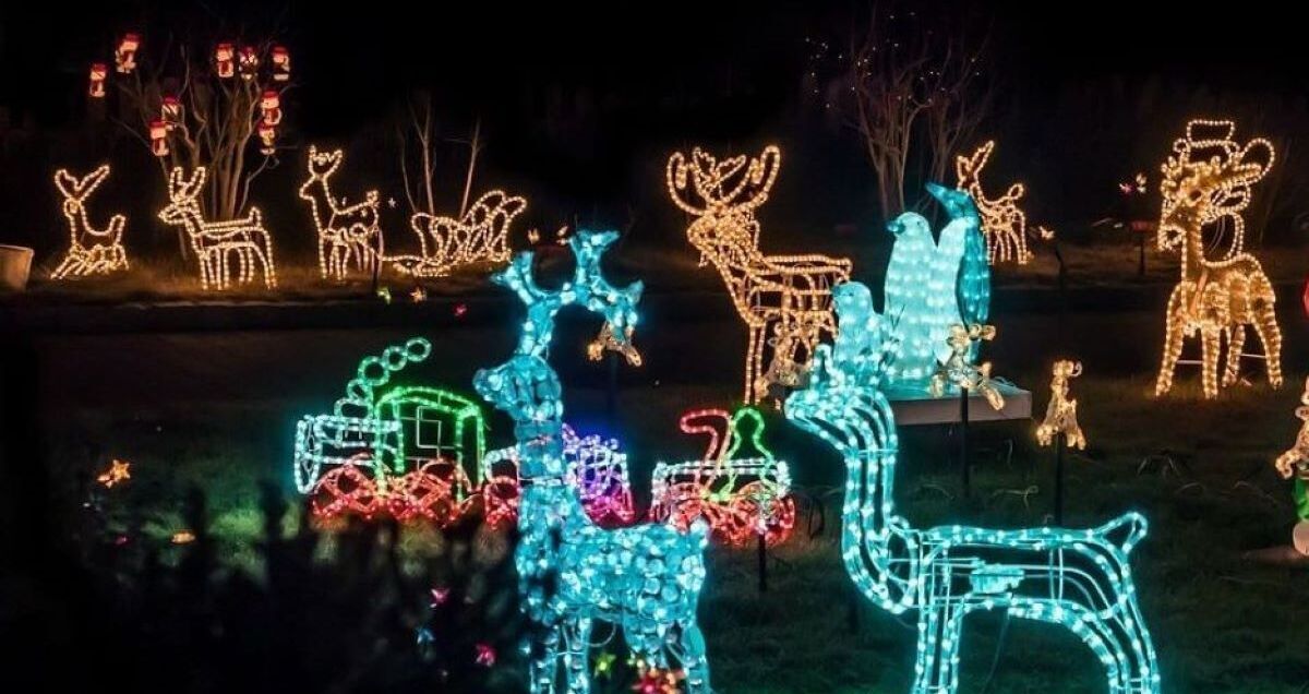 Kingsville’s Fantasy of Lights Celebrates Christmas Magic Kingsville