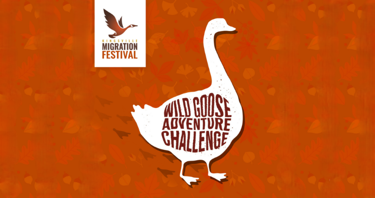 Wild Goose Adventure Challenge is Local Twist on ‘The Amazing Race